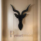 Modern Antelope Head Wall Decor